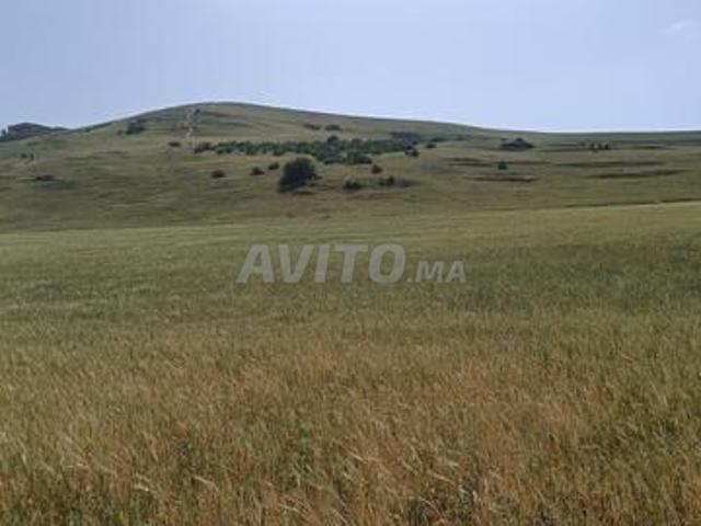 Terrain titré zone villa