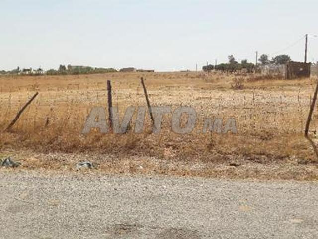 Terrain titre 16000m2 Mkam Tolba Tiflet