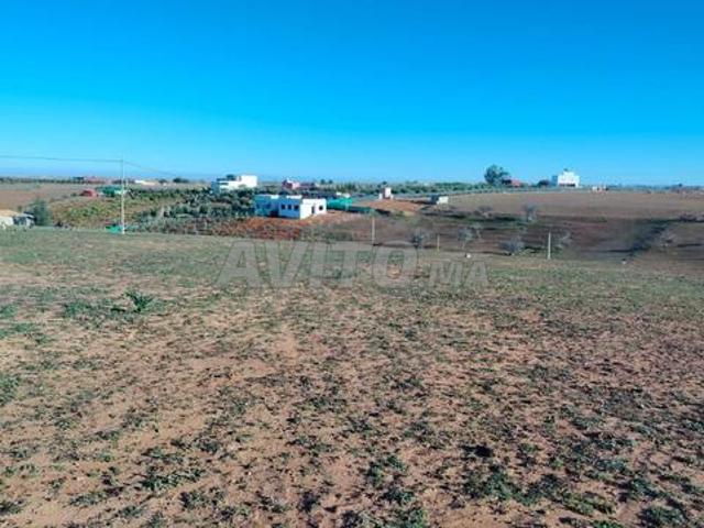 Terrain titre 17000m2 Tiflet