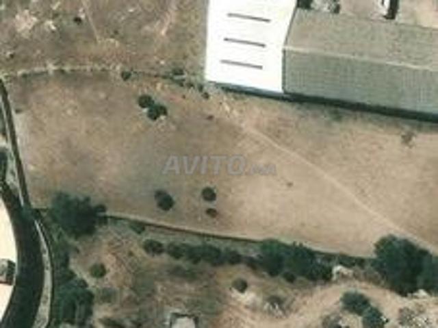 Terrain titré 1000 m² à vendre – Douar Laarab