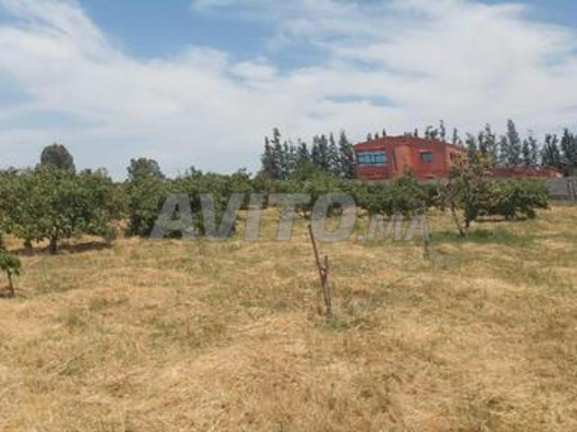 Terrain titre 12000m2 Kamouni