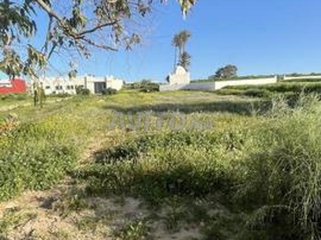 Terrain titré 1296 m² à Douar Al Maachate Safi