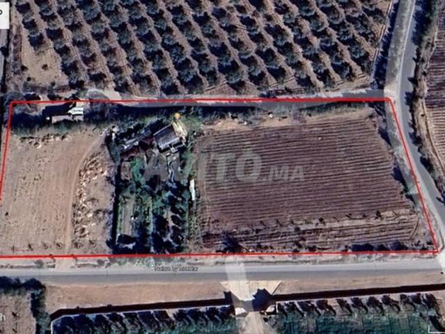 Terrain Titré 1.5 Ha – 3 Façades