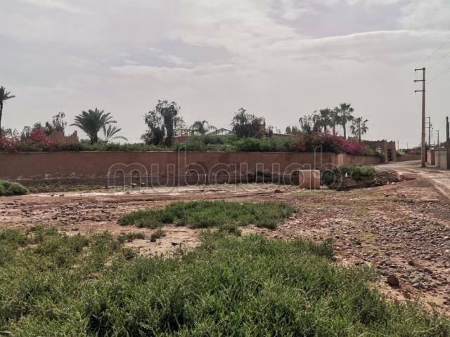 Terrain Titré 2000m² – Route amezmiz