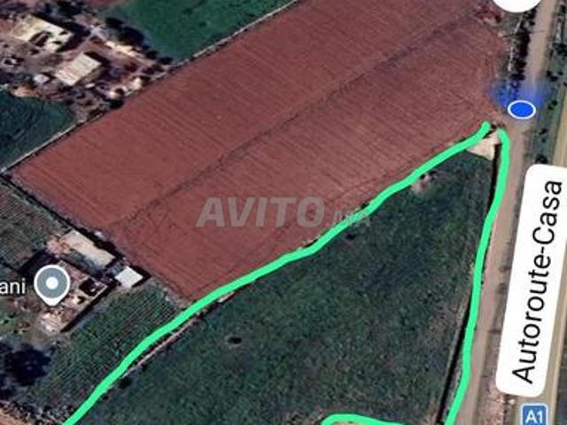 Terrain titré