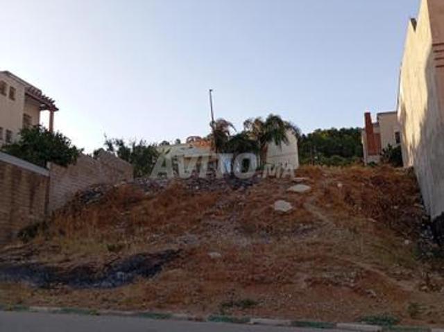 Terrain titré