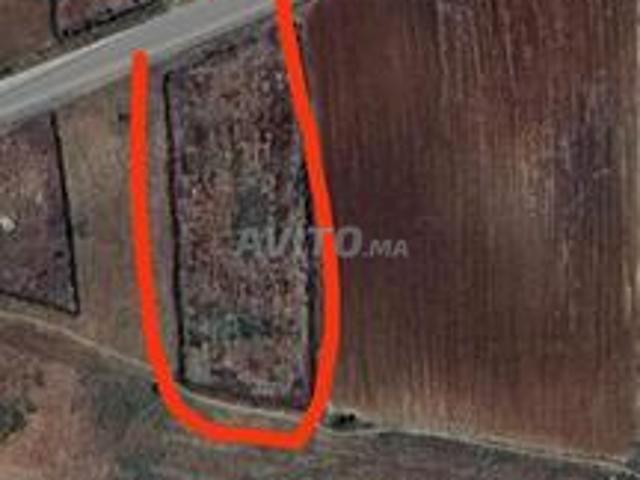 Terrain titré