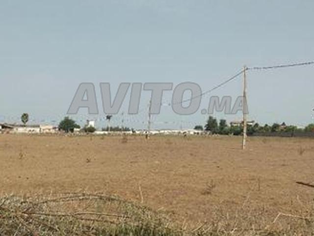 Terrain titre 2ha jnane maamoura kamouni