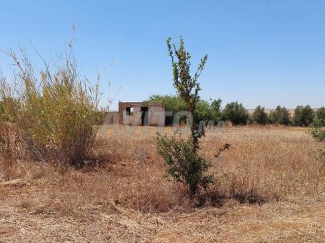 Terrain titre 3ha Tiflet Ait Al Ghazi