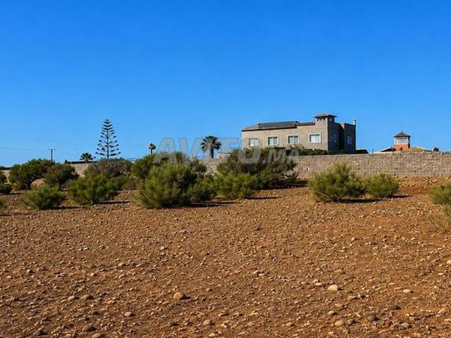 Terrain titré 4000 m² à vendre Safi