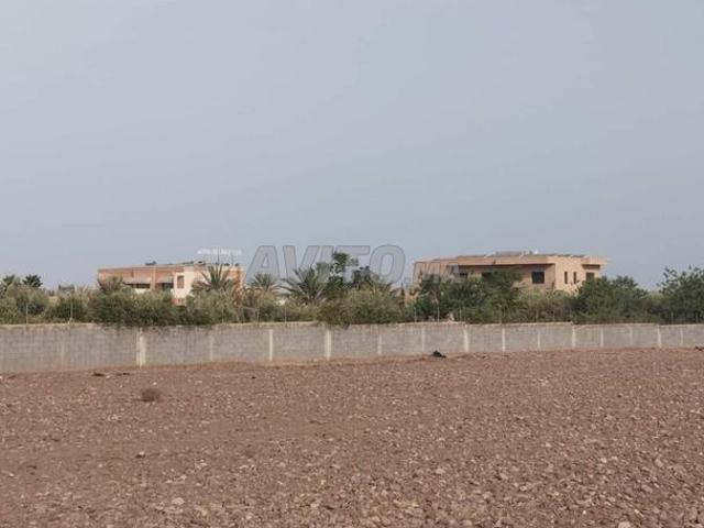 Terrain titré 5000 m² pour Villa à Ouled Saleh