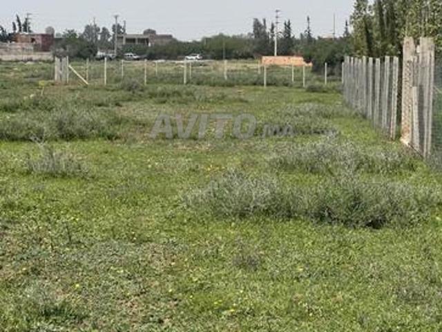 Terrain titré