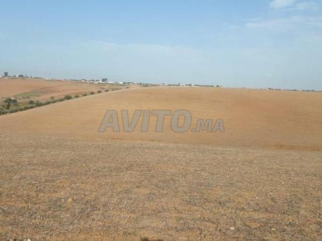 Terrain titre 7ha Kamouni Ait Malek