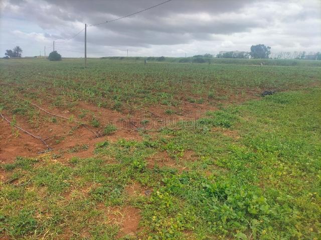 Terrain titrer avec depit ou hongar sur goudron