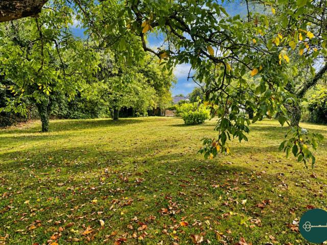 Terrain Toul 1254 m2