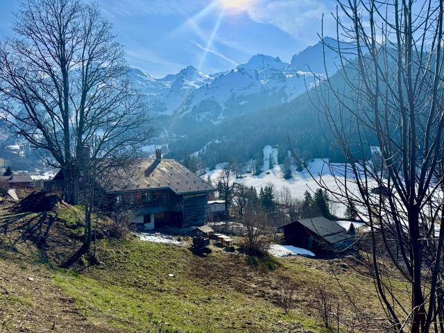 Terrain vue Aravis