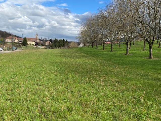 Terrain viabilisé 542m²