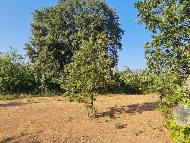 Terrain viabilisé de 853m2 le défend PERMIS accepté et purgé pour une villa de 103m2