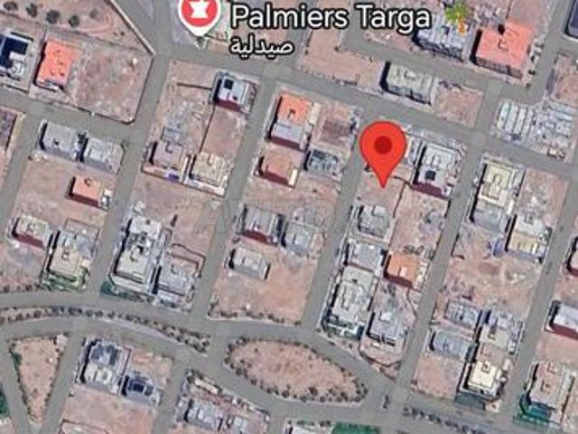Terrain villa palmier targa