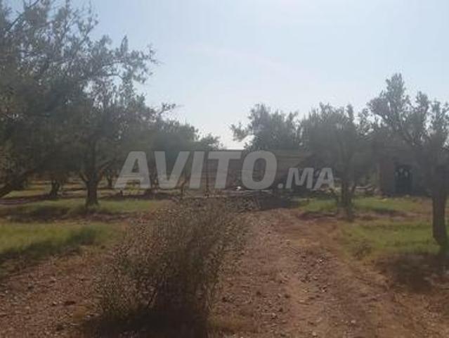 Terrain Villa 18km Marrakech bonne affaire