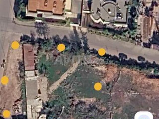 Terrain Villa 1000m² Californie