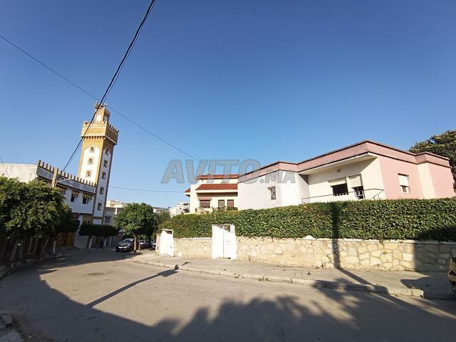 Terrain & Villa 466m²