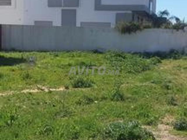 Terrain villas