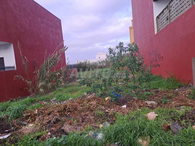Terrain zone villa ain atiq calme