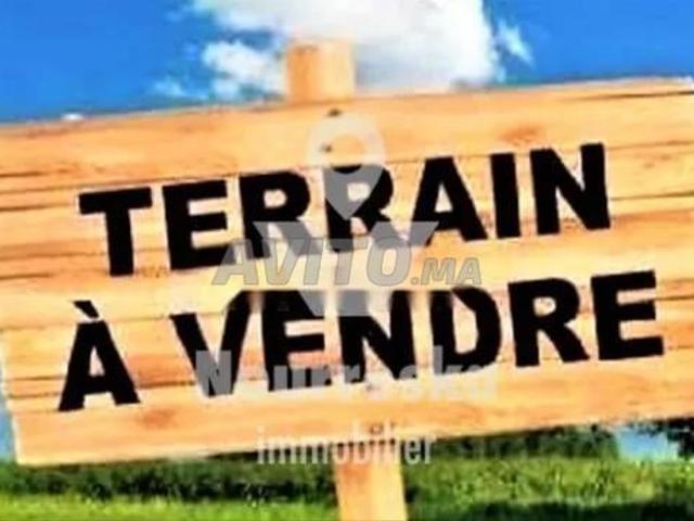 Terrain zone villa proche offshore