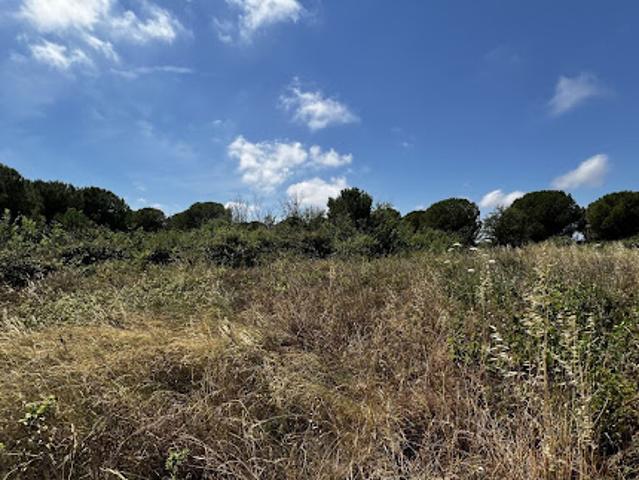 Terrain 0 m2