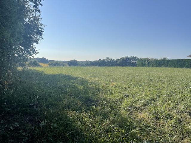 Terrain 1400 m2