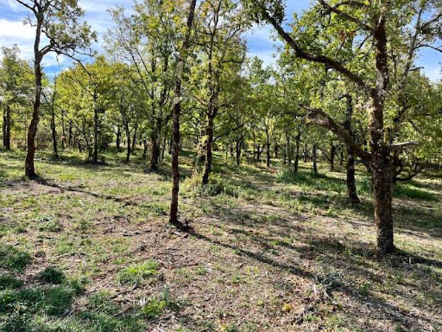 Terrain 1424 m2