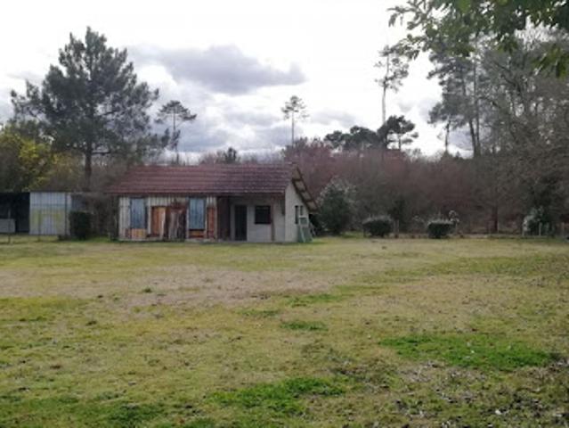 Terrain 1455 m2