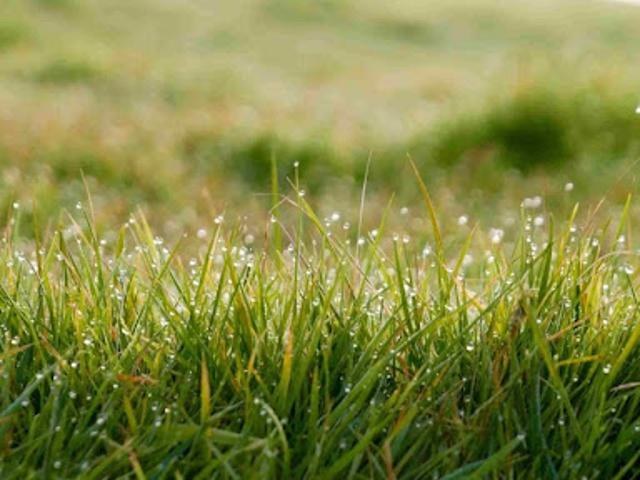 Terrain 1500 m2