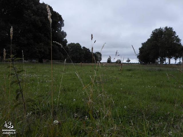 Terrain 1500 m2
