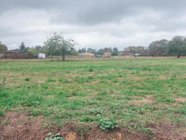 Terrain 1500 m2 velines