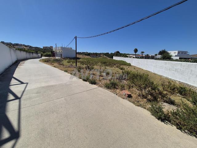 Terrain 150m2 route principale