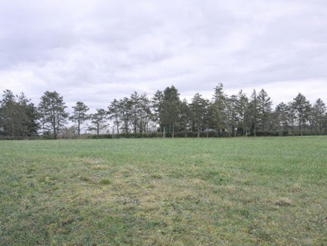 Terrain 1515 m2