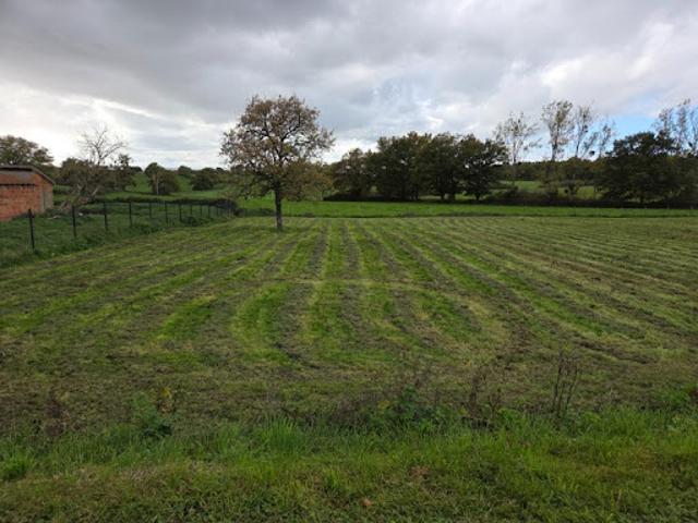 Terrain 1539 m2