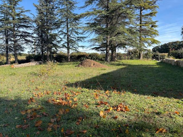 Terrain 1556 m2