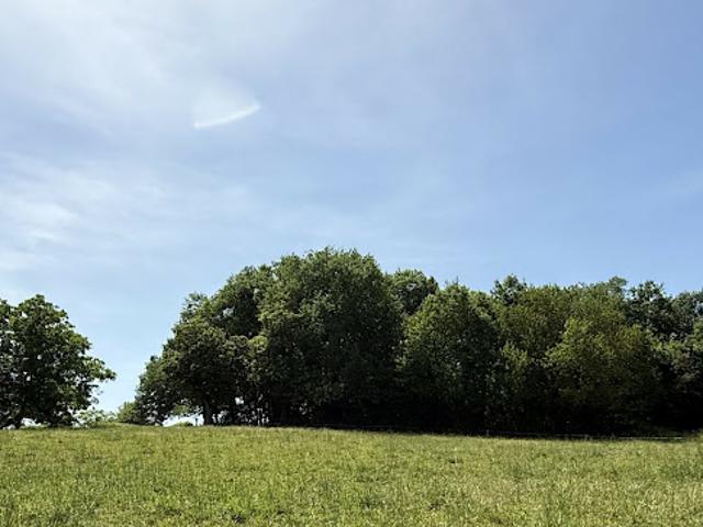 Terrain 1595 m2