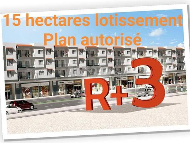 Terrain 15 hectares lotissement