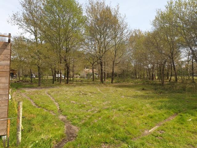 TERRAIN