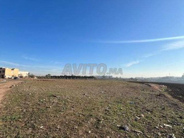 Terrain 1624m2 Z Immeuble RDC 4étage à Bouskoura
