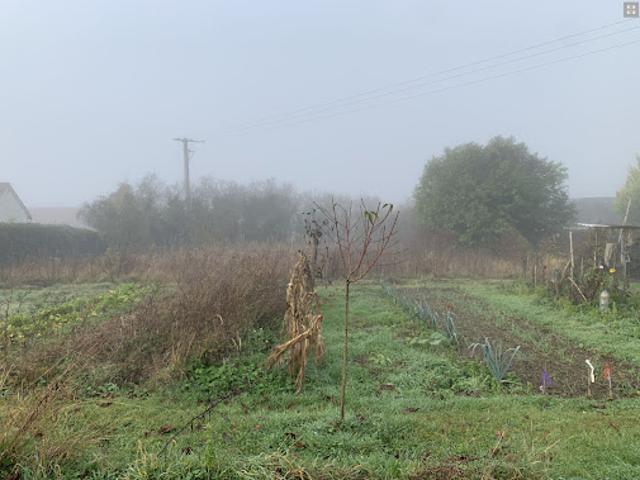 Terrain 1647 m2