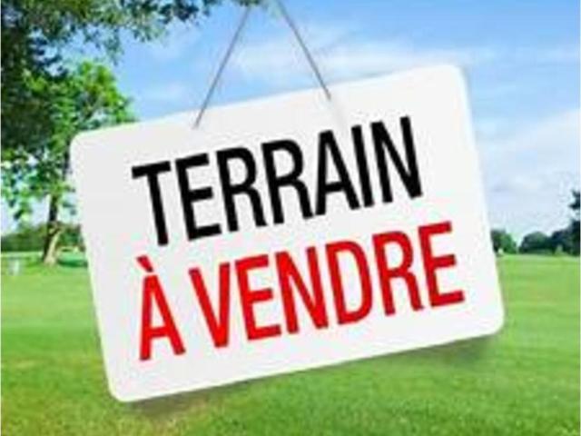 Terrain