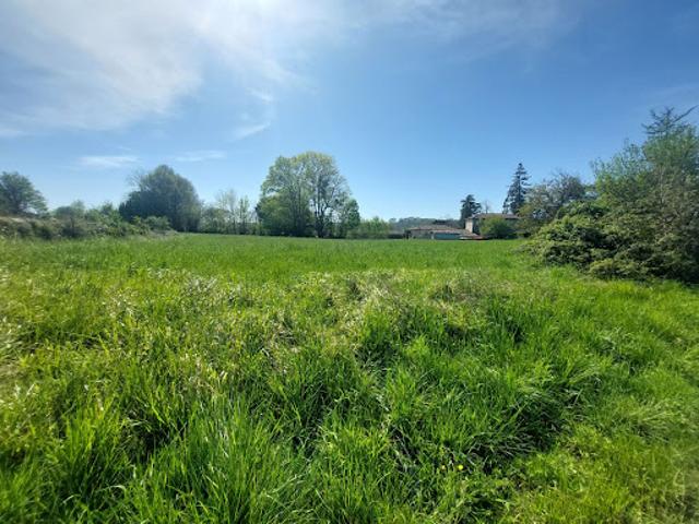 Terrain 1665 m2
