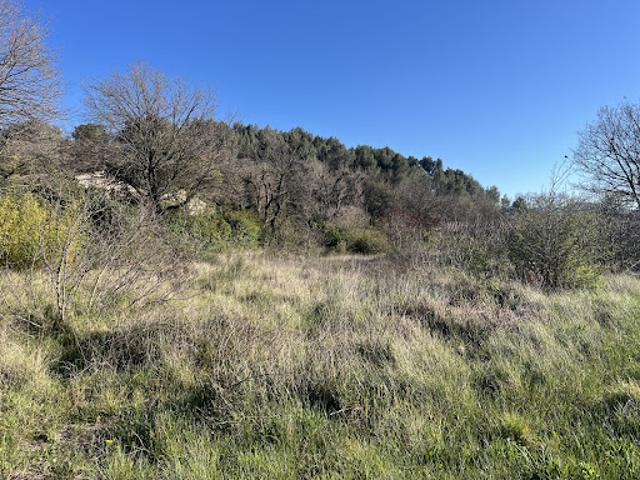 Terrain 1690 m2