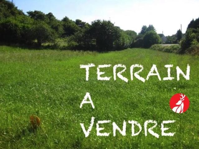 TERRAIN