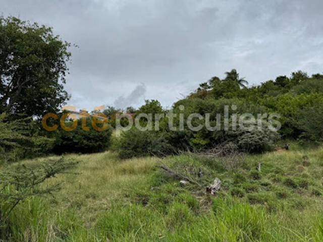 Terrain 1735 m2